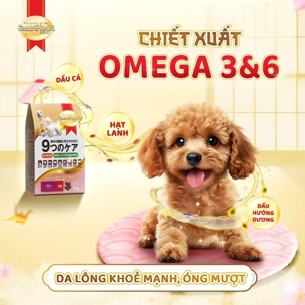 SMARTHEART GOLD THỨC ĂN HẠT DÀNH CHO CHÓ CON VÀ CHÓ MANG THAI - Tiệm Spa Bốn Chân