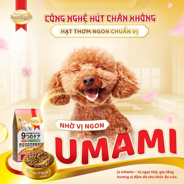 SMARTHEART GOLD THỨC ĂN HẠT DÀNH CHO CHÓ CON VÀ CHÓ MANG THAI - Tiệm Spa Bốn Chân