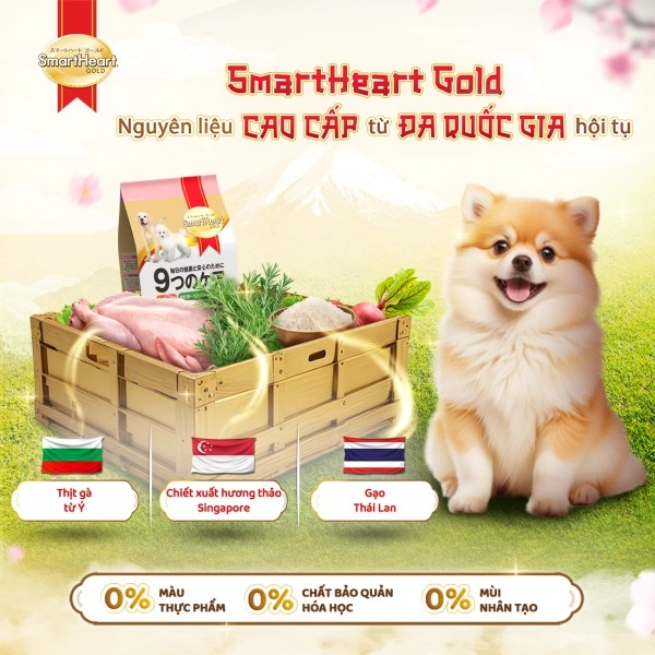 SMARTHEART GOLD THỨC ĂN HẠT DÀNH CHO CHÓ CON VÀ CHÓ MANG THAI - Tiệm Spa Bốn Chân