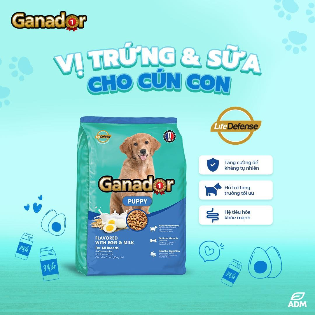 Ganador Thức Ăn Hạt Cho Chó Con Vị Trứng Và Sữa Túi 400g