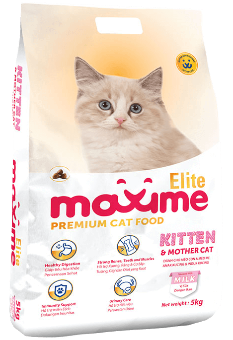MAXIME ELITE KITTEN & MOTHER CAT - Tiệm Spa Bốn Chân