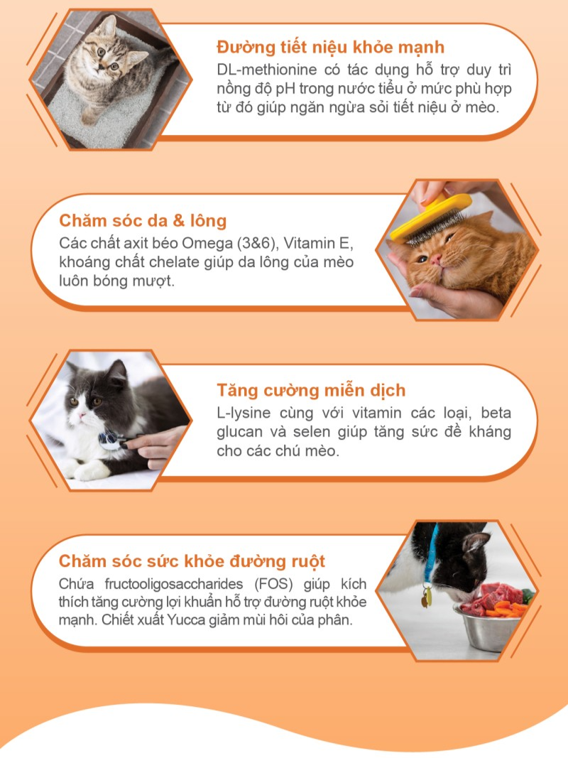 Catsrang Hộp Thức Ăn Hạt Dành Cho Mèo Ở Mọi Lứa Tuổi 2kg