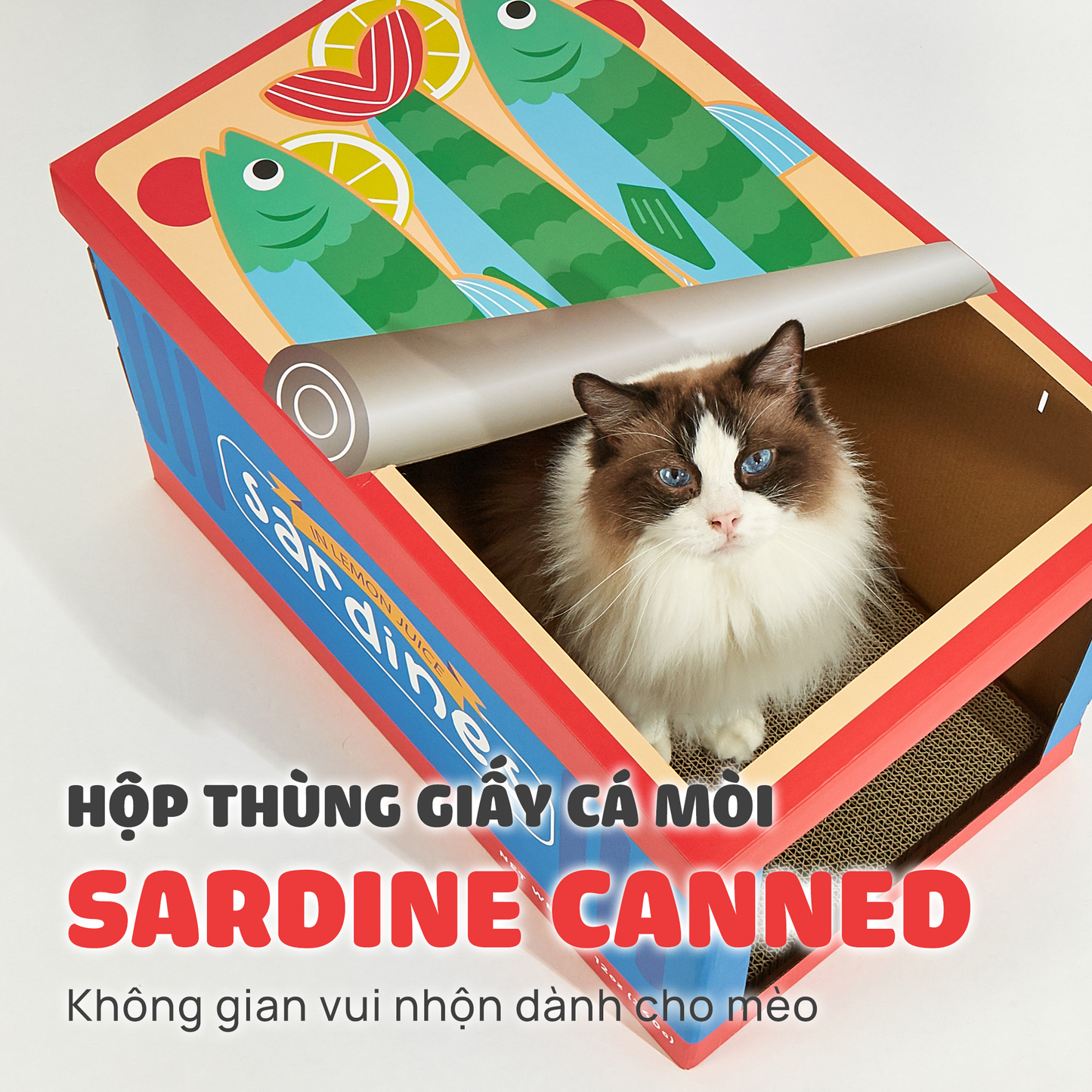 FOFOS Hộp Cào Móng Cho Mèo Hình Hộp Cá Mòi - Đồ Chơi Mèo Đa Năng, Thân Thiện Môi Trường