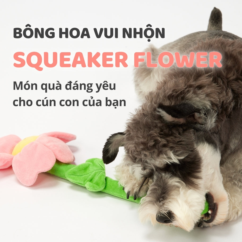 FOFOS Đồ Chơi Dây Bện Hình Hoa Có Giấy Kêu Sột Soạt Cho Chó – Màu Hồng, Không Còi Kêu