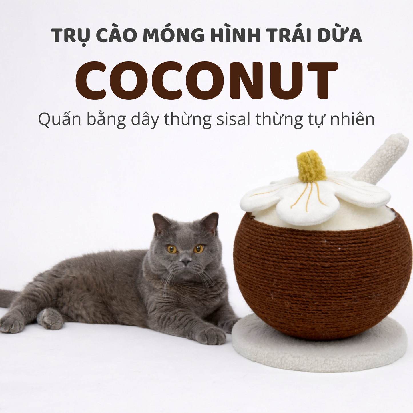FOFOS Trụ Cào Móng Hình Trái Dừa Kèm Hoa Trang Trí Cho Mèo – Dây Sisal Tự Nhiên 28.5x25cm
