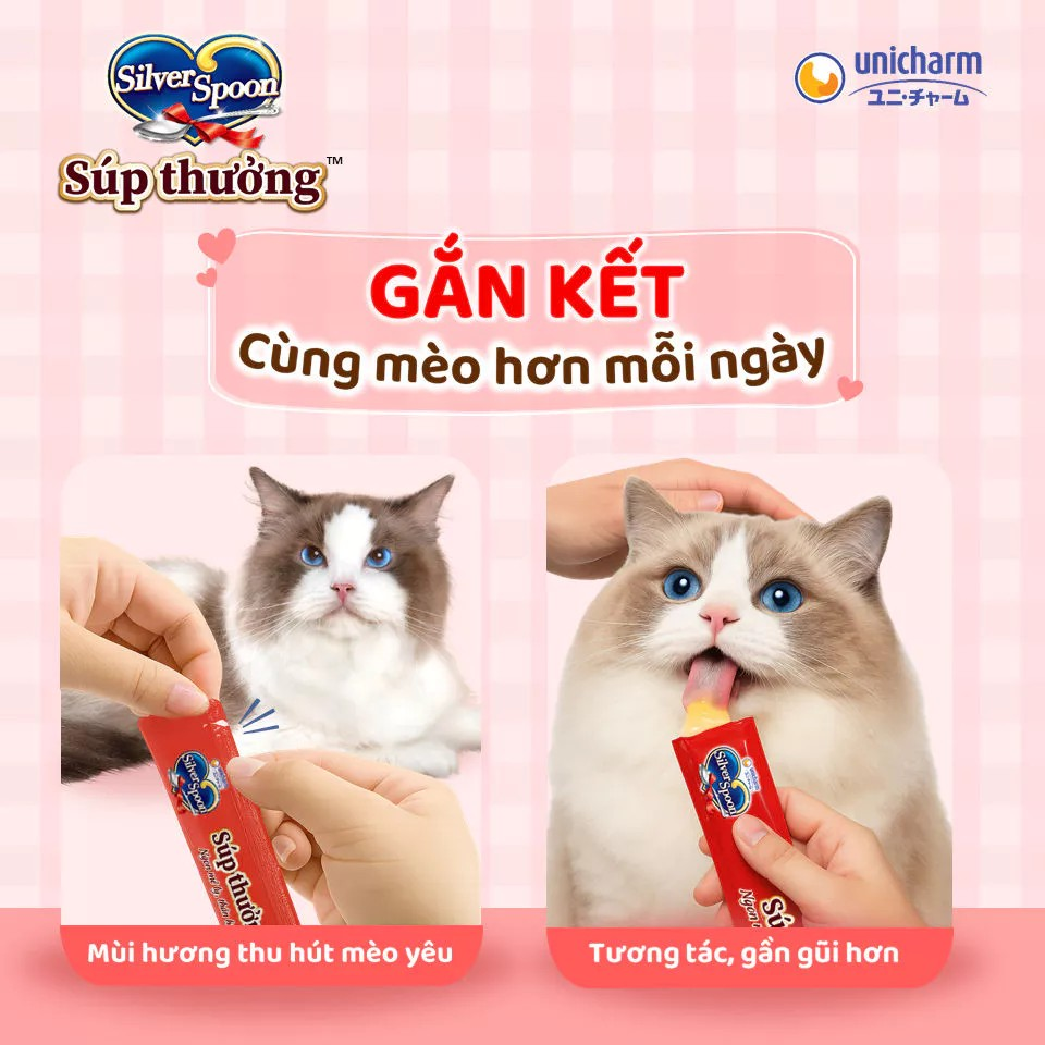 Silver Spoon Torori Súp Thưởng Cho Mèo Hũ Gourmet 770g – Combo 4 Vị, 55 Thanh