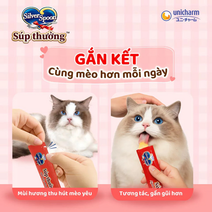 Silver Spoon Torori Súp Thưởng Cho Mèo Hũ Gourmet 770g – Combo 4 Vị, 55 Thanh