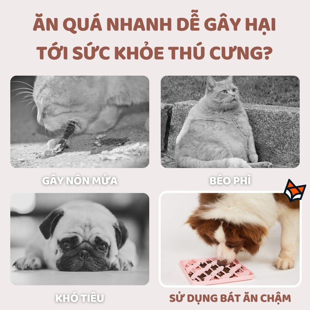 FOFOS Licking Mat – Thảm Liếm Silicone Cho Chó Mèo Giảm Lo Âu, Chậm Ăn & Sạch Răng (Màu Nâu Đậm)