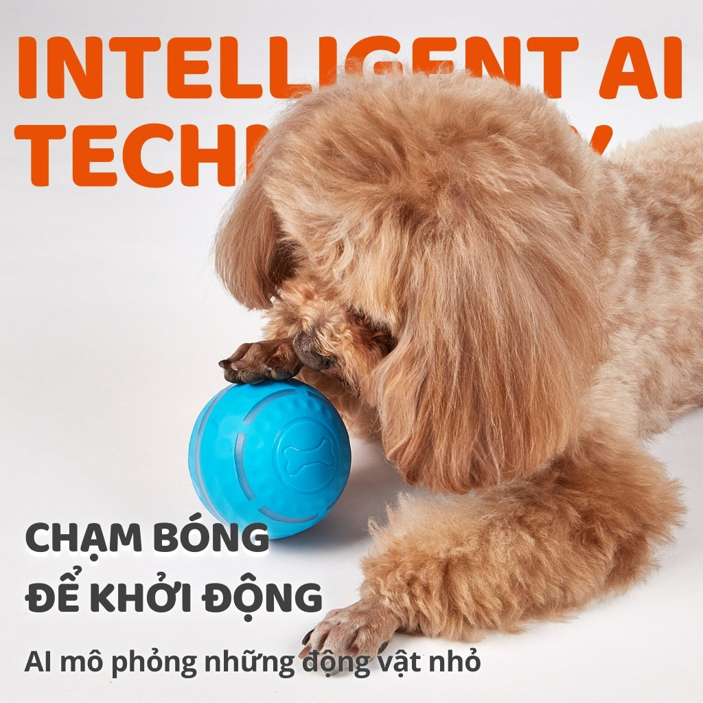 FFOFOS Bóng Lăn Tự Động Thông Minh Đèn LED Cho Chó – Sạc Nhanh Type-C, Chống Nước 8.5x8.5x8.5cm