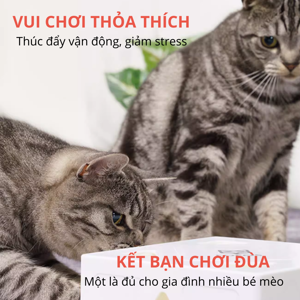 FOFOS Hộp Lông Vũ Ngẫu Nhiên Bản USB – Đồ Chơi Tương Tác Tự Động Cho Mèo 17.7x17.7x6.5cm
