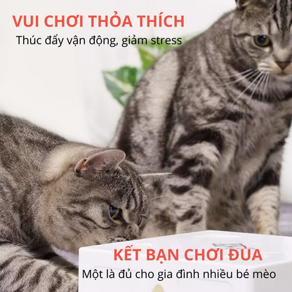 FOFOS Hộp Lông Vũ Ngẫu Nhiên Bản USB – Đồ Chơi Tương Tác Tự Động Cho Mèo 17.7x17.7x6.5cm