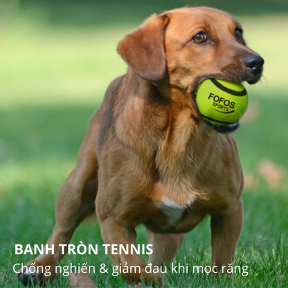 FOFOS Bóng Tennis Thể Thao Có Còi Kêu Cho Chó – Chất Liệu Cao Su Tự Nhiên & Vải Nỉ Bền Chắc