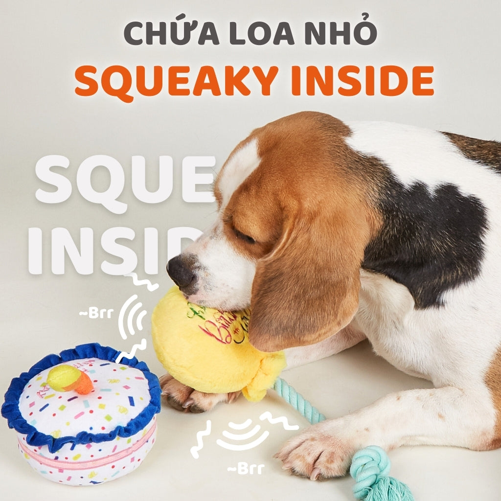 FOFOS Đồ Chơi Nhồi Bông Hình Nón Sinh Nhật Có Vòng Dây Bện Cho Chó – Bộ Sưu Tập Sinh Nhật 13x9x28cm