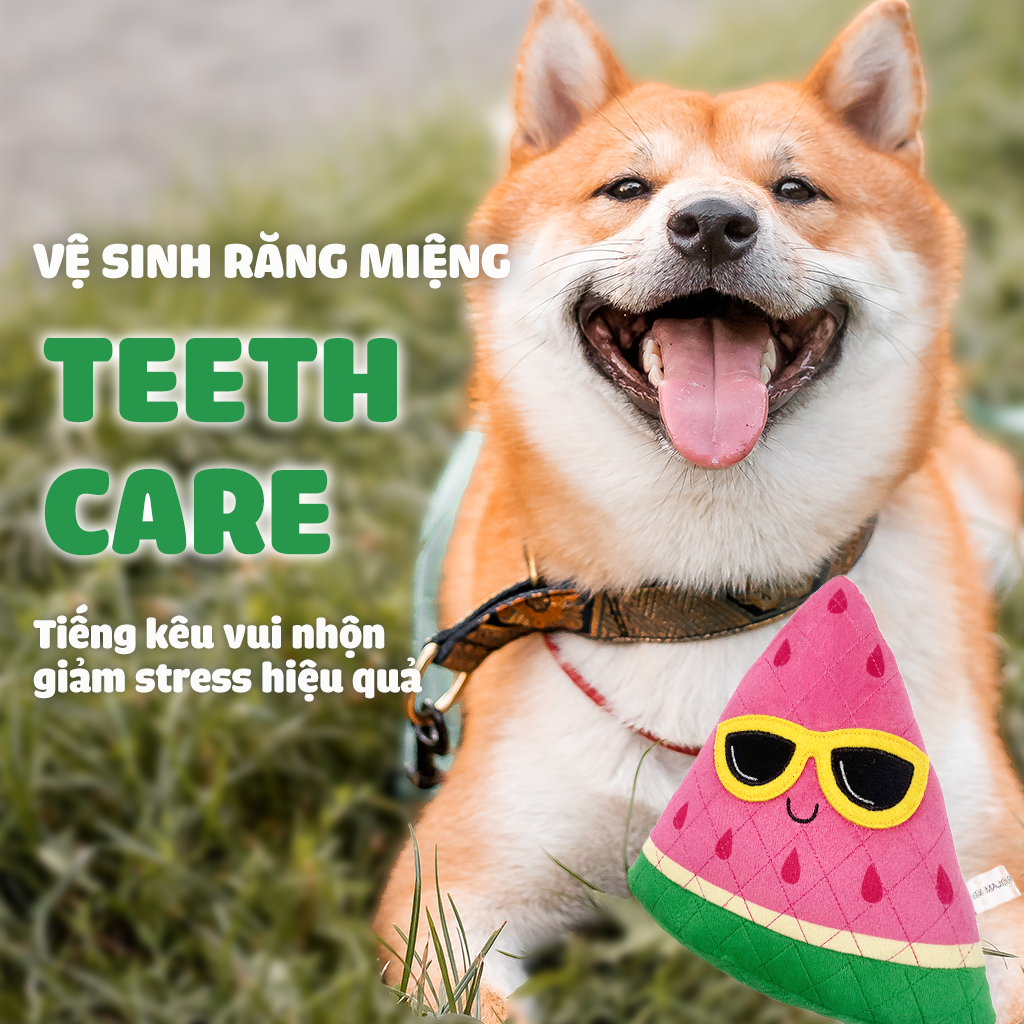 FOFOS Đồ Chơi Nhồi Bông Bền Chắc Hình Trái Dưa Hấu Có Còi Kêu Cho Chó – Màu Hồng