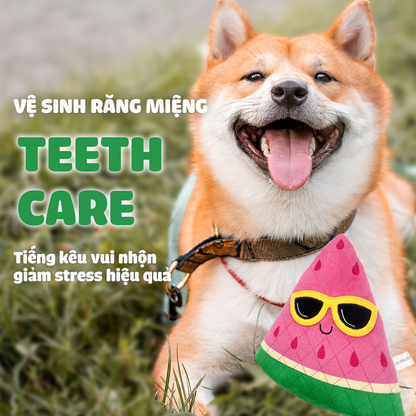 FOFOS Đồ Chơi Nhồi Bông Bền Chắc Hình Trái Dưa Hấu Có Còi Kêu Cho Chó – Màu Hồng
