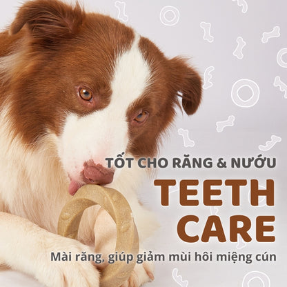 FOFOS Đồ Chơi Gặm Bằng Gỗ Hình Sừng Hươu Cho Chó Cỡ Nhỏ – Sợi Gỗ Thật, Không Xước Mảnh