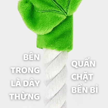 FOFOS Đồ Chơi Dây Bện Hình Hoa Có Giấy Kêu Sột Soạt Cho Chó – Màu Hồng, Không Còi Kêu