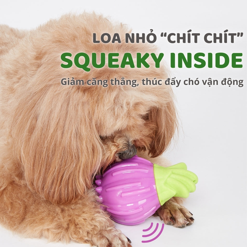 FOFOS Đồ Chơi Gặm Phát Tiếng Cười Hình Bông Cải Xanh Cho Chó – Chất Liệu TPR Kép Bền Chắc