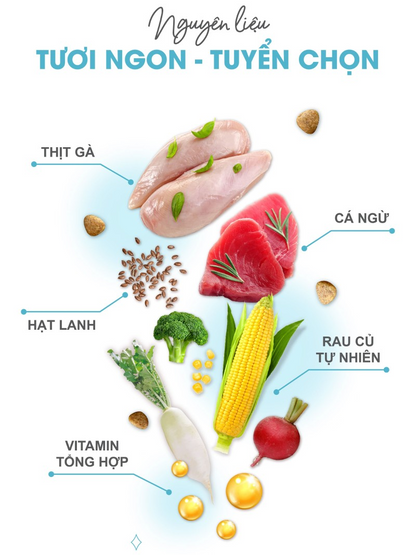 Catsrang Thức Ăn Hạt Dành Cho Mèo Trưởng Thành Túi 1.5kg