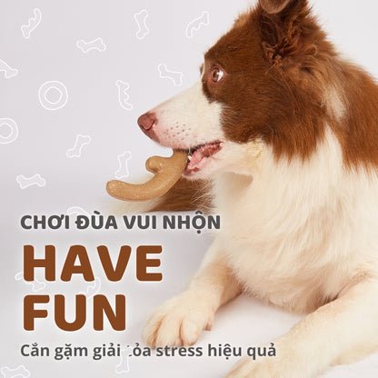 FOFOS Đồ Chơi Gặm Bằng Gỗ Hình Sừng Hươu Cho Chó Cỡ Nhỏ – Sợi Gỗ Thật, Không Xước Mảnh