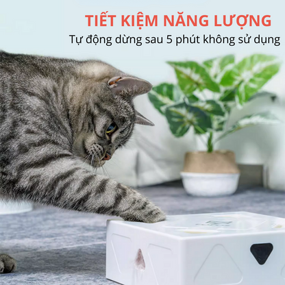 FOFOS Hộp Lông Vũ Ngẫu Nhiên Bản USB – Đồ Chơi Tương Tác Tự Động Cho Mèo 17.7x17.7x6.5cm