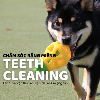 FOFOS Đồ Chơi Rớt Đồ Ăn Hình Trái Lê – Đồ Chơi Nhai Cao Su Tự Nhiên Cho Chó