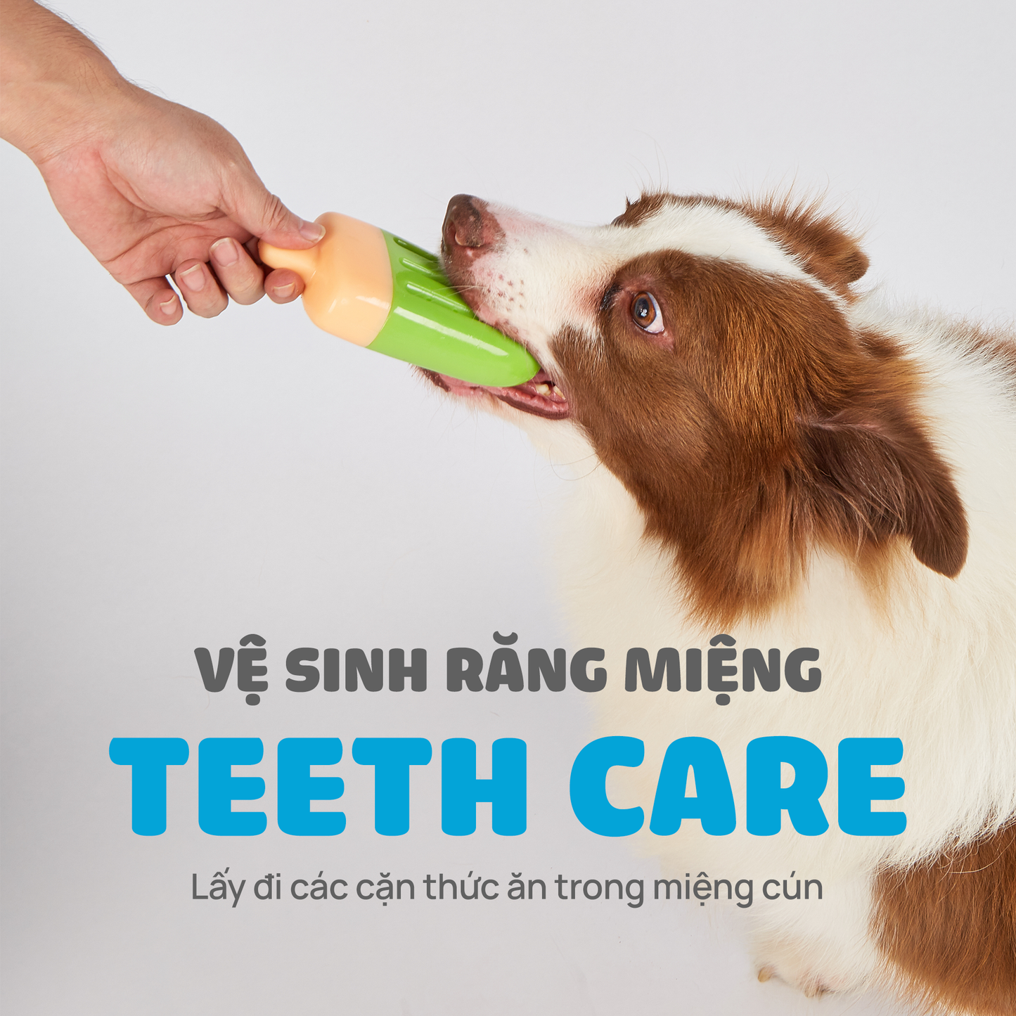 FOFOS Đồ Chơi Que Kem Làm Mát Cho Chó – Cooling Ice Lolly Giải Nhiệt, Hỗ Trợ Mọc Răng