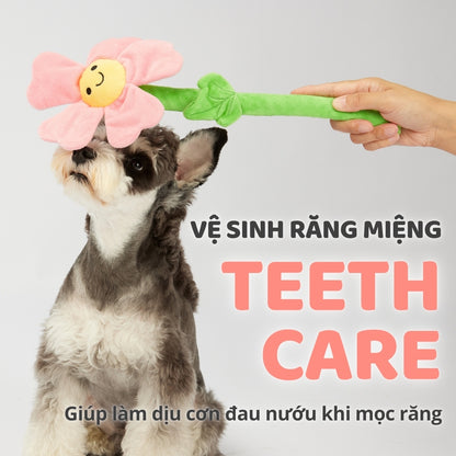 FOFOS Đồ Chơi Dây Bện Hình Hoa Có Giấy Kêu Sột Soạt Cho Chó – Màu Hồng, Không Còi Kêu