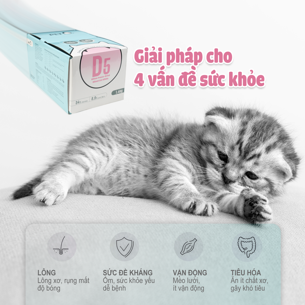 PetQ Macaron D5 Thức Ăn Hạt Cho Mèo Túi 200g