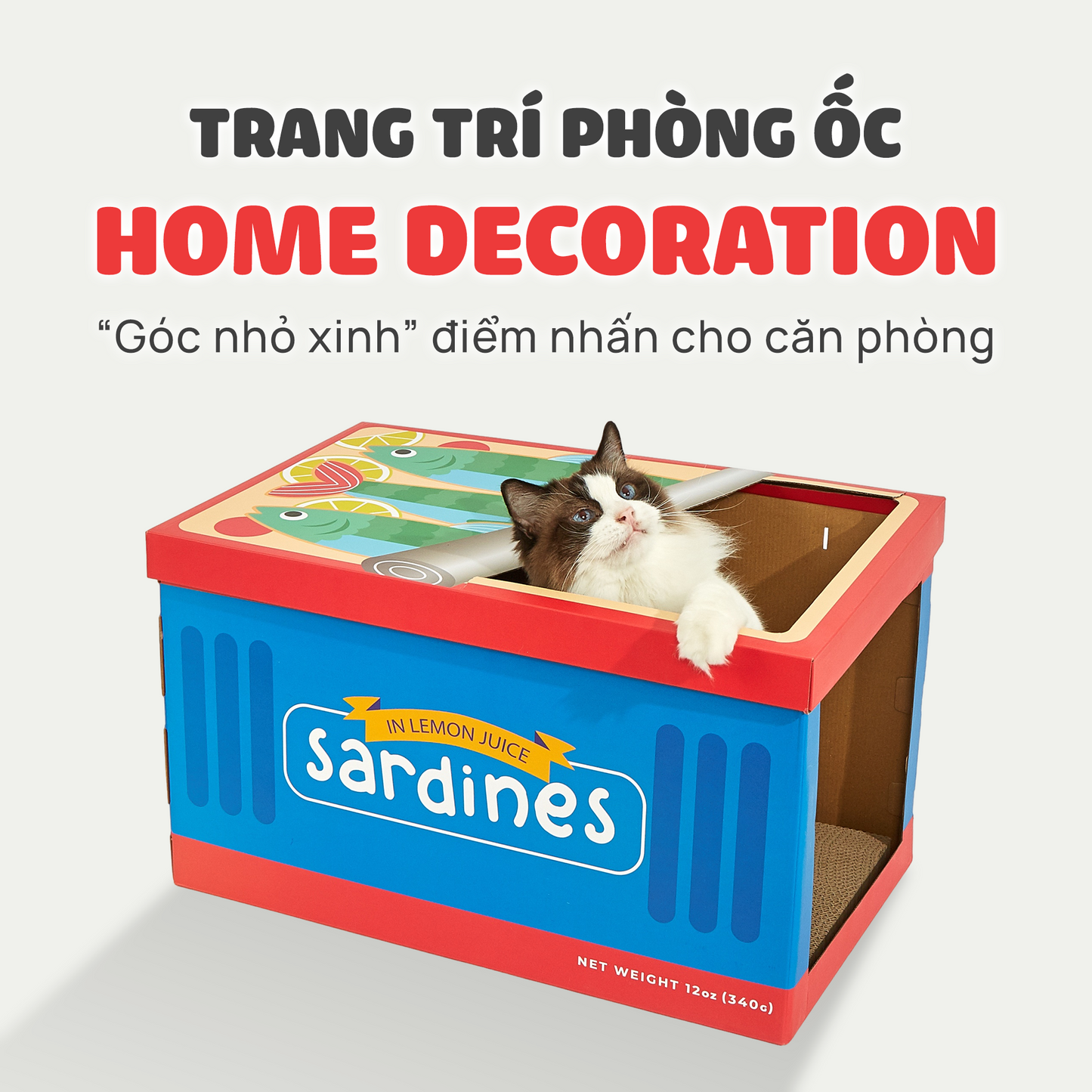 FOFOS Hộp Cào Móng Cho Mèo Hình Hộp Cá Mòi - Đồ Chơi Mèo Đa Năng, Thân Thiện Môi Trường