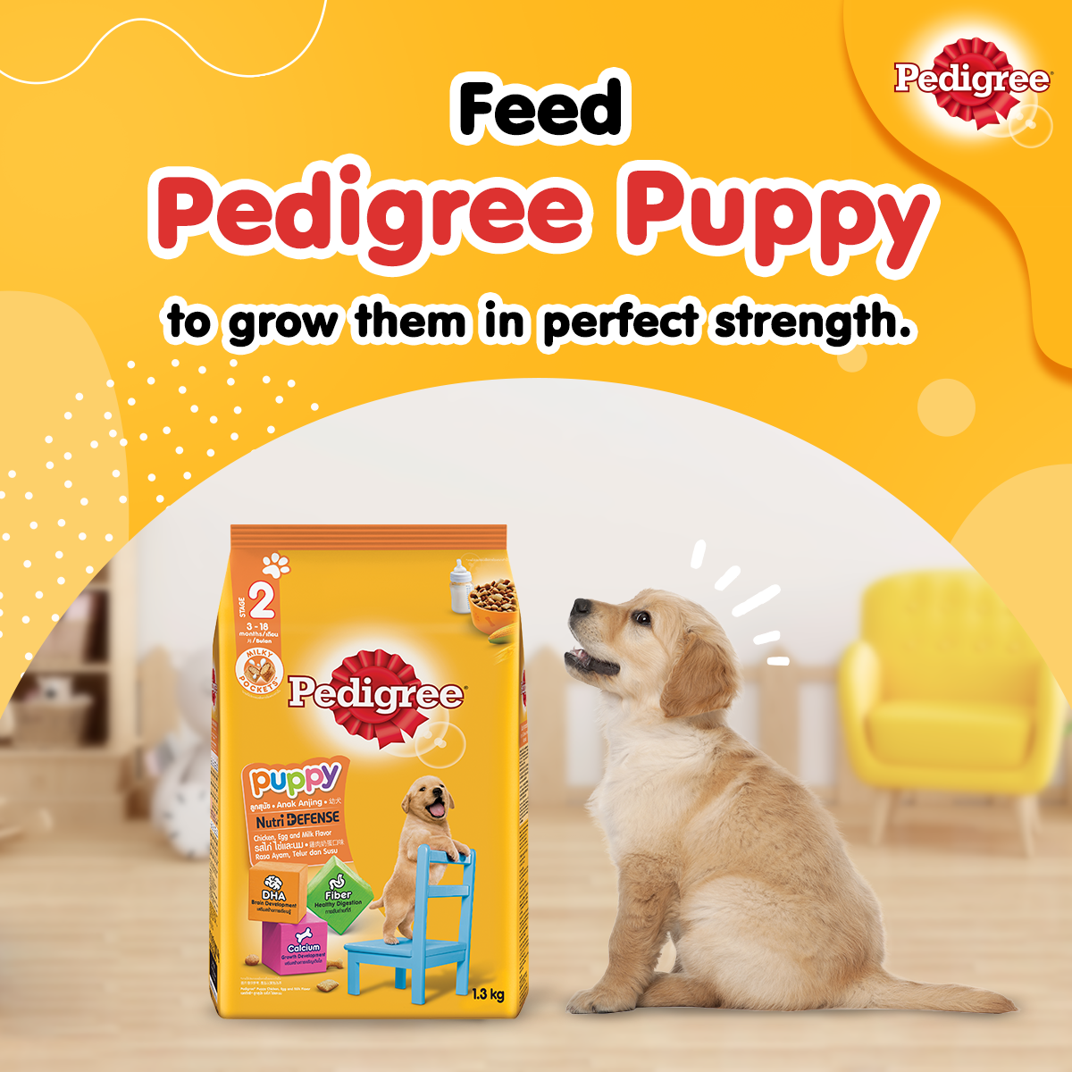 Pedigree Thức Ăn Hạt Stage 2 Dành Cho Chó Con Vị Gà, Trứng & Sữa
