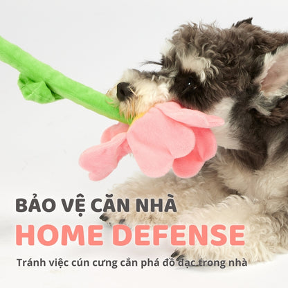 FOFOS Đồ Chơi Dây Bện Hình Hoa Có Giấy Kêu Sột Soạt Cho Chó – Màu Hồng, Không Còi Kêu