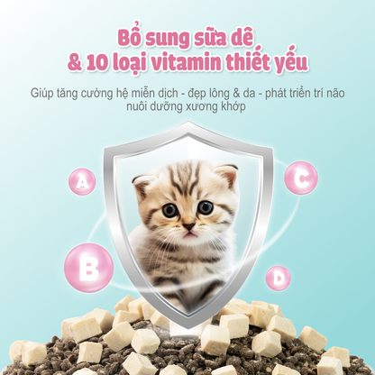 PetQ Macaron D5 Thức Ăn Hạt Cho Mèo Túi 200g