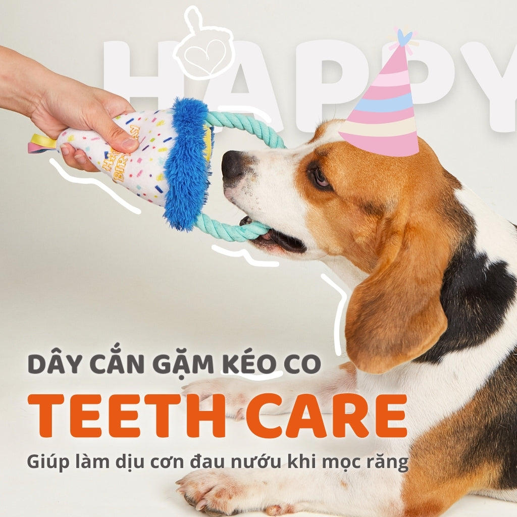 FOFOS Đồ Chơi Nhồi Bông Hình Nón Sinh Nhật Có Vòng Dây Bện Cho Chó – Bộ Sưu Tập Sinh Nhật 13x9x28cm