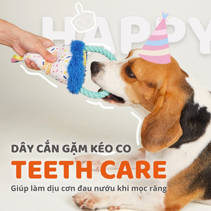 FOFOS Đồ Chơi Nhồi Bông Hình Nón Sinh Nhật Có Vòng Dây Bện Cho Chó – Bộ Sưu Tập Sinh Nhật 13x9x28cm