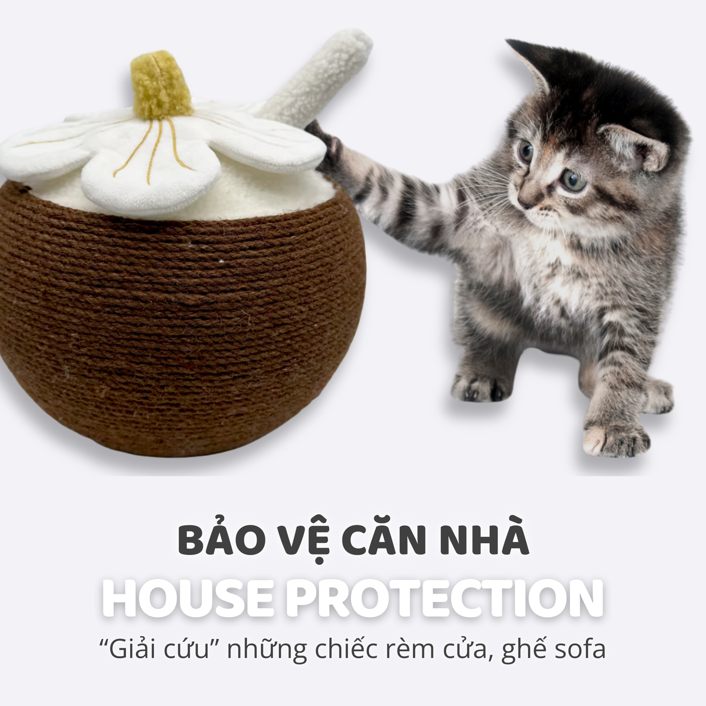 FOFOS Trụ Cào Móng Hình Trái Dừa Kèm Hoa Trang Trí Cho Mèo – Dây Sisal Tự Nhiên 28.5x25cm