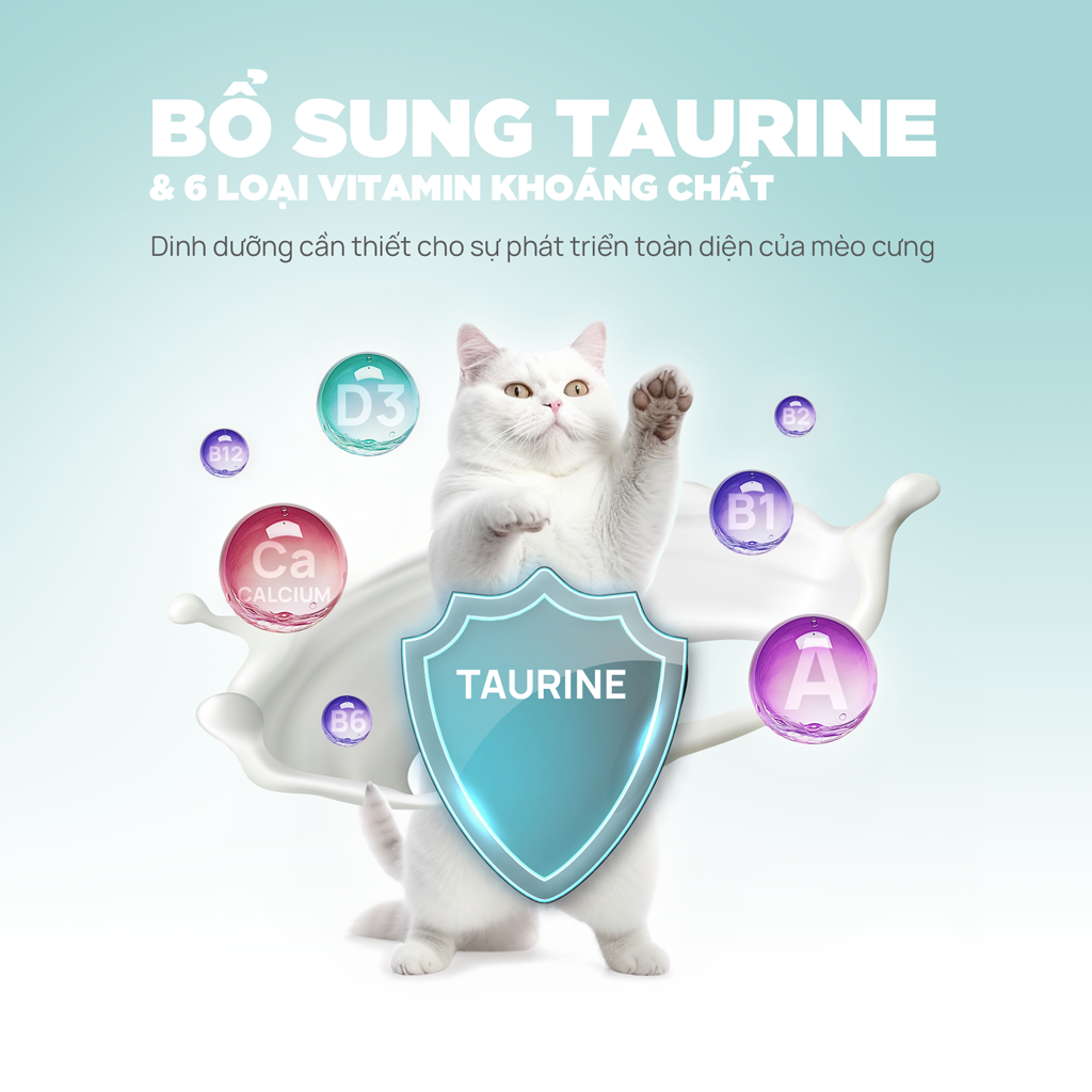 PetQ Pate Sữa Dê 70g Vị Gà