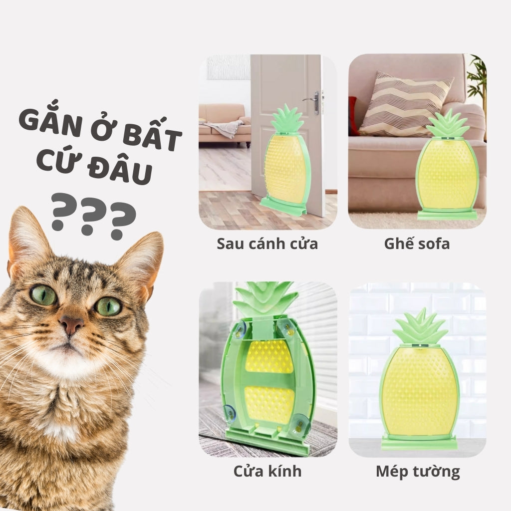 FOFOS Lược Chải Lông Tự Chải Hình Trái Thơm Cho Mèo