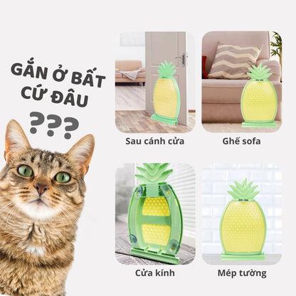FOFOS Lược Chải Lông Tự Chải Hình Trái Thơm Cho Mèo