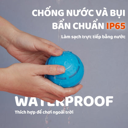 FFOFOS Bóng Lăn Tự Động Thông Minh Đèn LED Cho Chó – Sạc Nhanh Type-C, Chống Nước 8.5x8.5x8.5cm