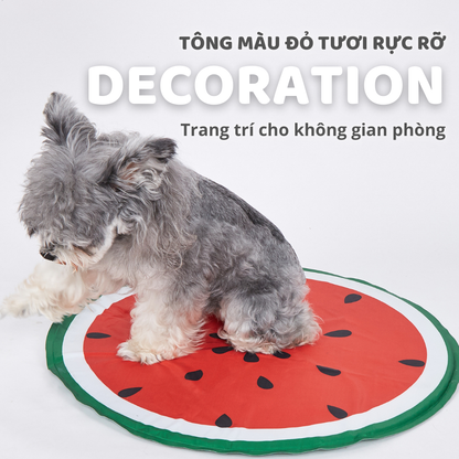 FOFOS Thảm Nằm Làm Mát Tự Động Hình Dưa Hấu Cho Thú Cưng – Không Cần Đông Lạnh 60x60cm