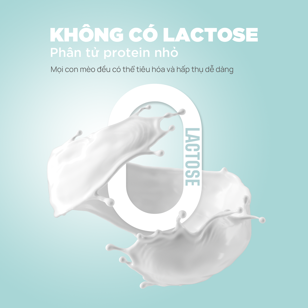 PetQ Pate Sữa Dê 70g Vị Gà