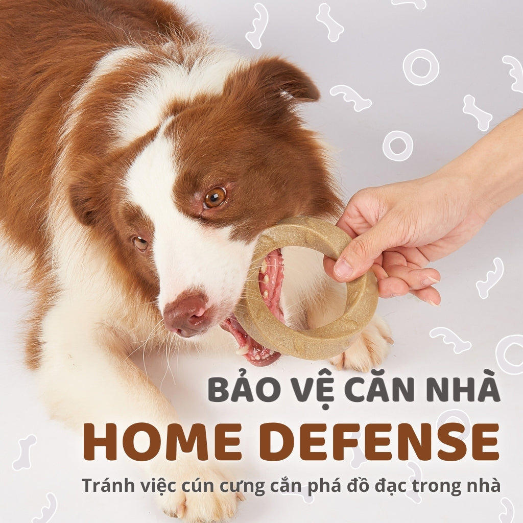 FOFOS Đồ Chơi Gặm Bằng Gỗ Hình Sừng Hươu Cho Chó Cỡ Nhỏ – Sợi Gỗ Thật, Không Xước Mảnh
