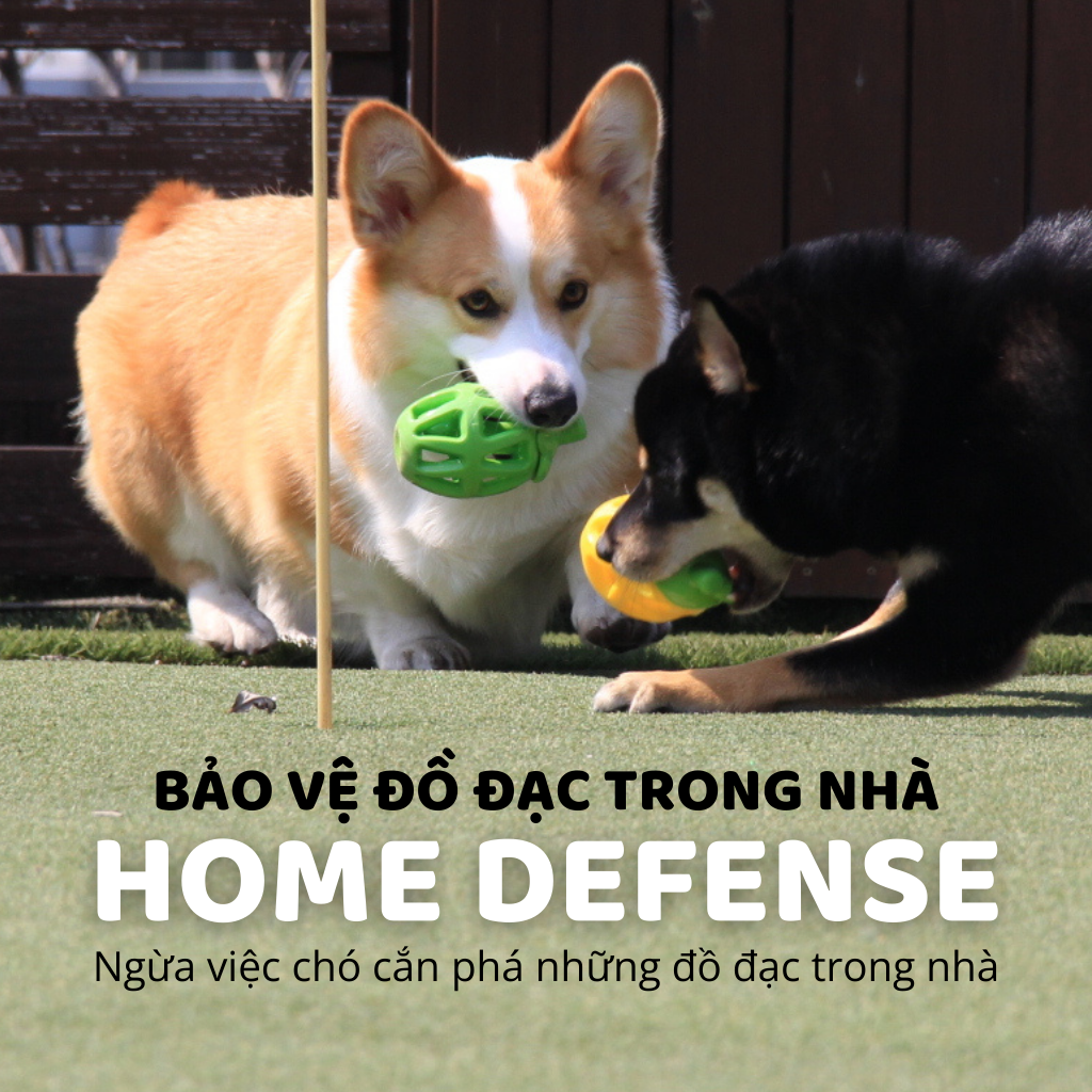 FOFOS Đồ Chơi Rớt Đồ Ăn Hình Trái Lê – Đồ Chơi Nhai Cao Su Tự Nhiên Cho Chó