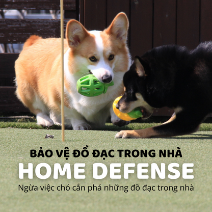 FOFOS Đồ Chơi Rớt Đồ Ăn Hình Trái Táo Xanh – Đồ Chơi Nhai Cao Su Tự Nhiên Cho Chó