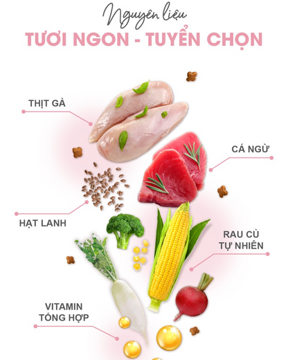 Catsrang Thức Ăn Hạt Dành Cho Mèo Mẹ Và Mèo Con Túi 400g