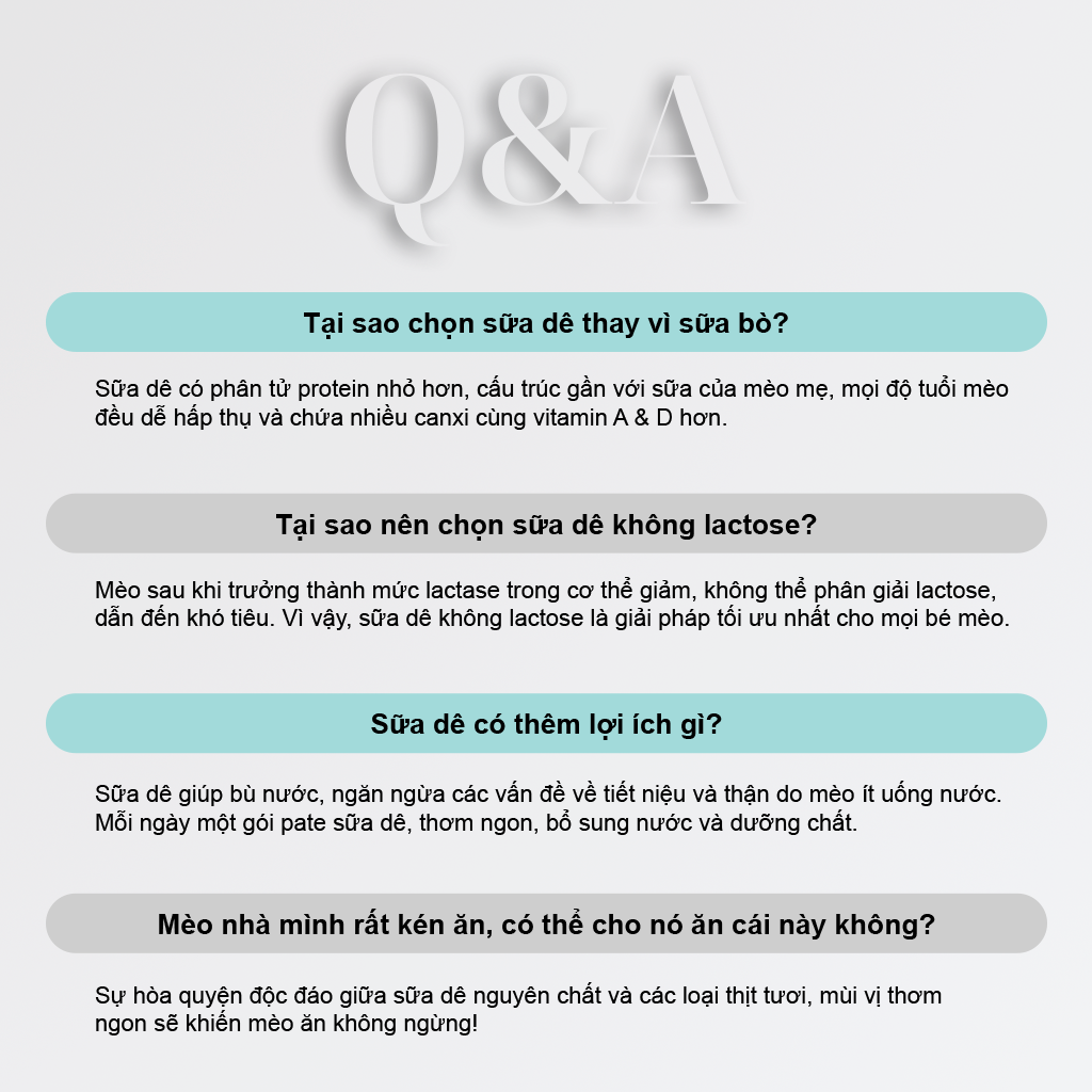 PetQ Pate Sữa Dê 70g Vị Gà