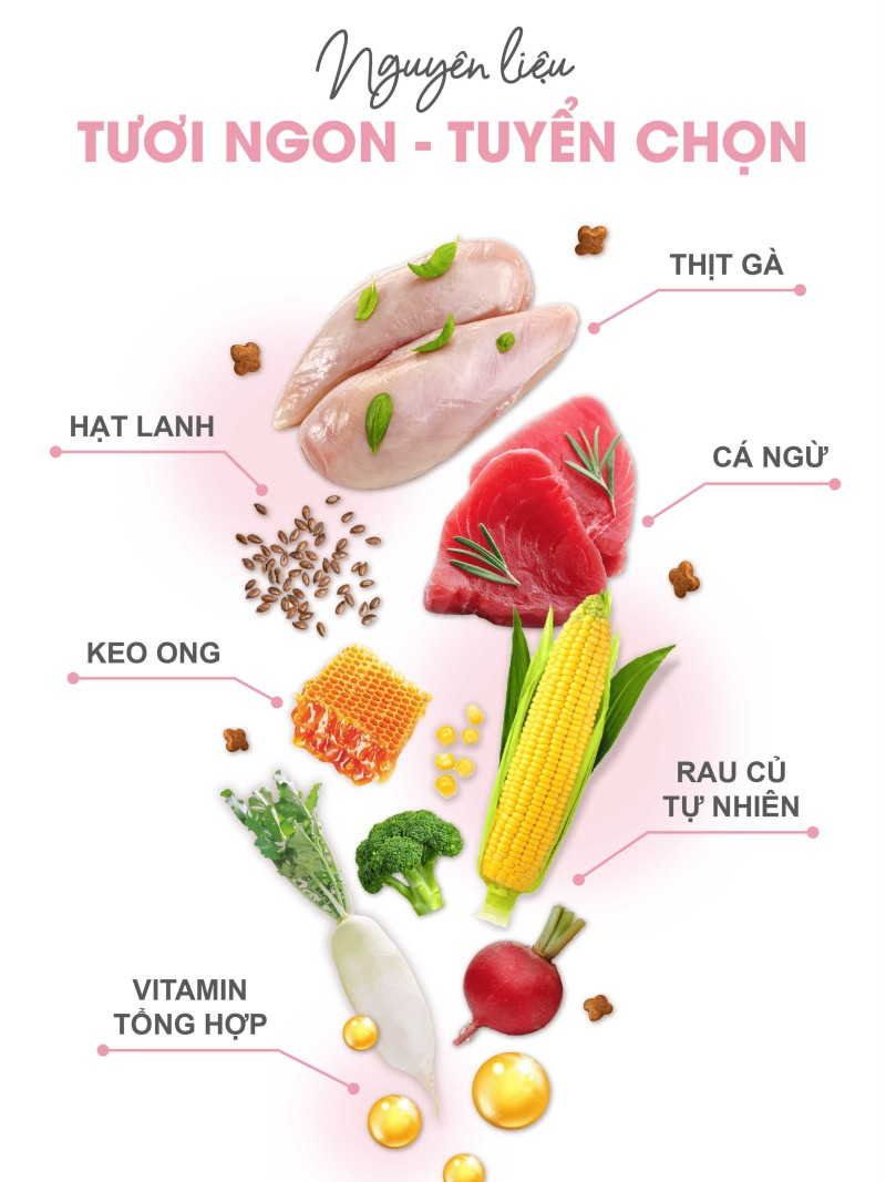 Catsrang Thức Ăn Hạt Dành Cho Mèo Con Túi 2 kg