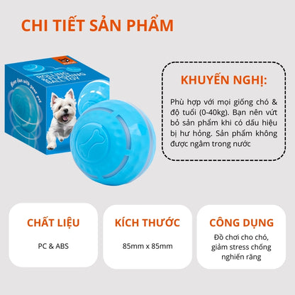 FFOFOS Bóng Lăn Tự Động Thông Minh Đèn LED Cho Chó – Sạc Nhanh Type-C, Chống Nước 8.5x8.5x8.5cm