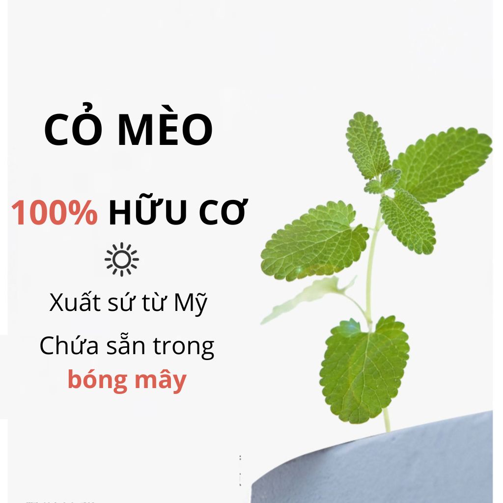 FOFOS Trụ Cào Móng Kết Hợp Lông Vũ Lắc Lư Tự Nhiên Cho Mèo